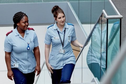 Academic School Mentors